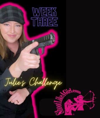 Julie's week 3 challenge feature