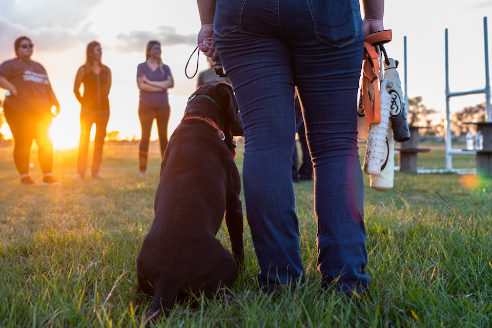 Retriever Demo