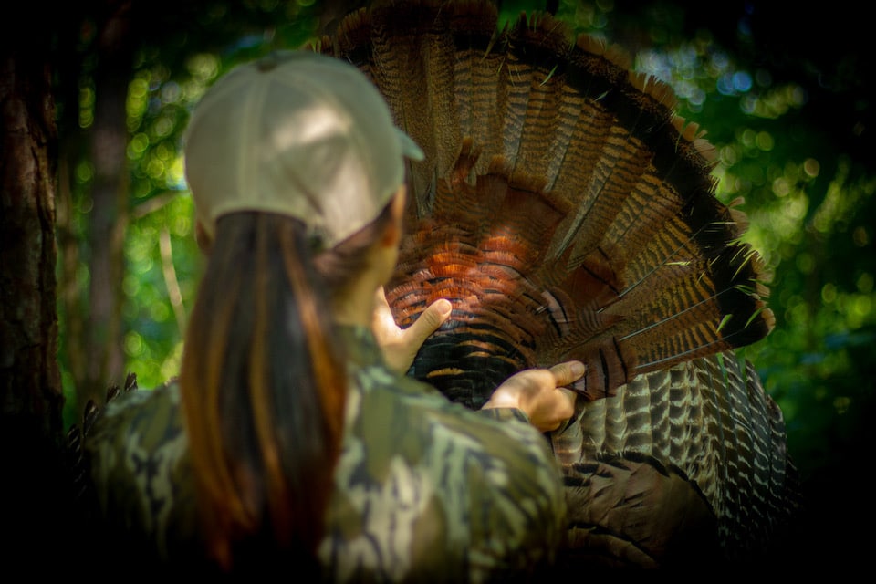 Courtenay Conring turkey feathers