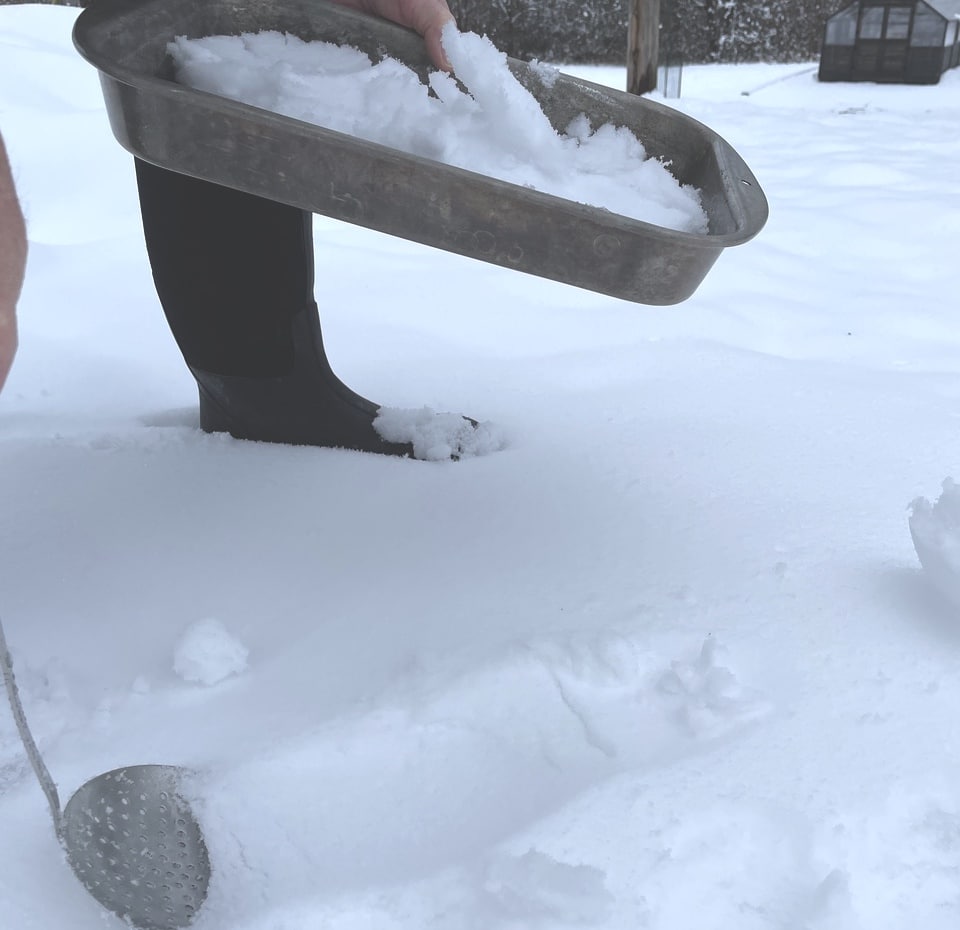 collecting the snow