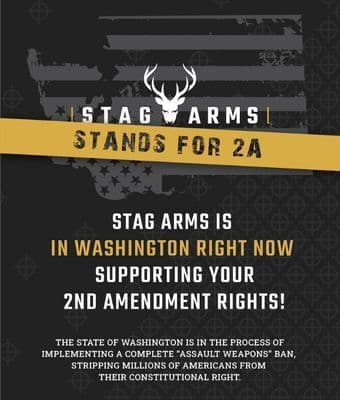 Stag Arms Deploys a Team to Washington feature