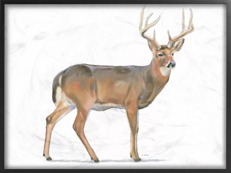 Wild Woodland Deer framed Giclee Target