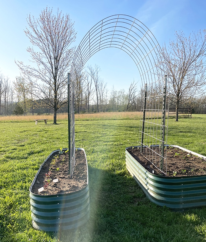 DIY arched trellis feature