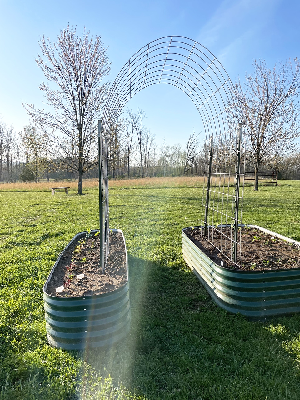 DIY arched trellis