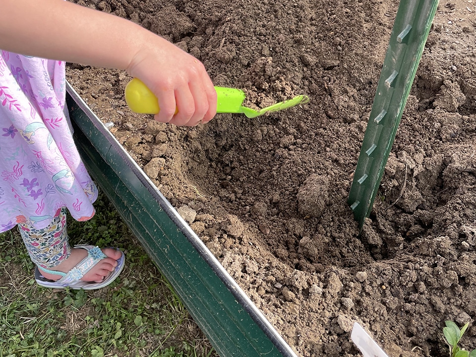 Little helper filling the hole diy trellis