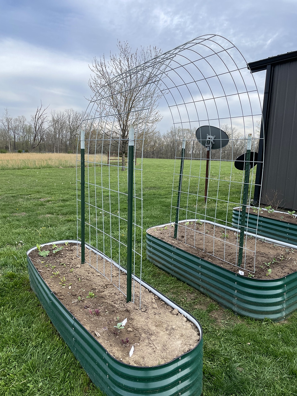 Side of arched trellis