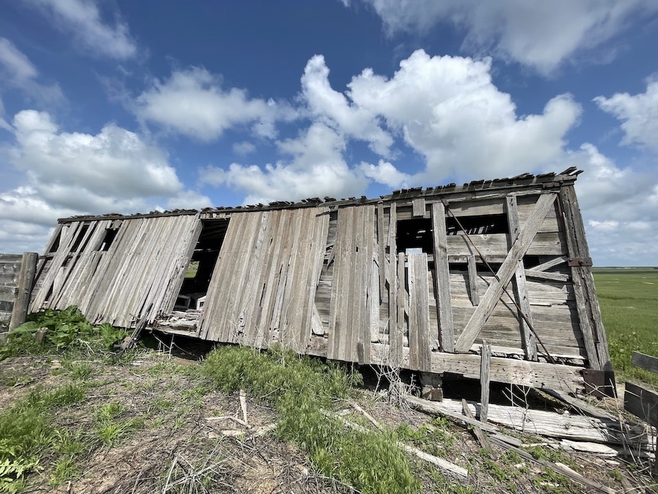 Box car prairie dog hunt