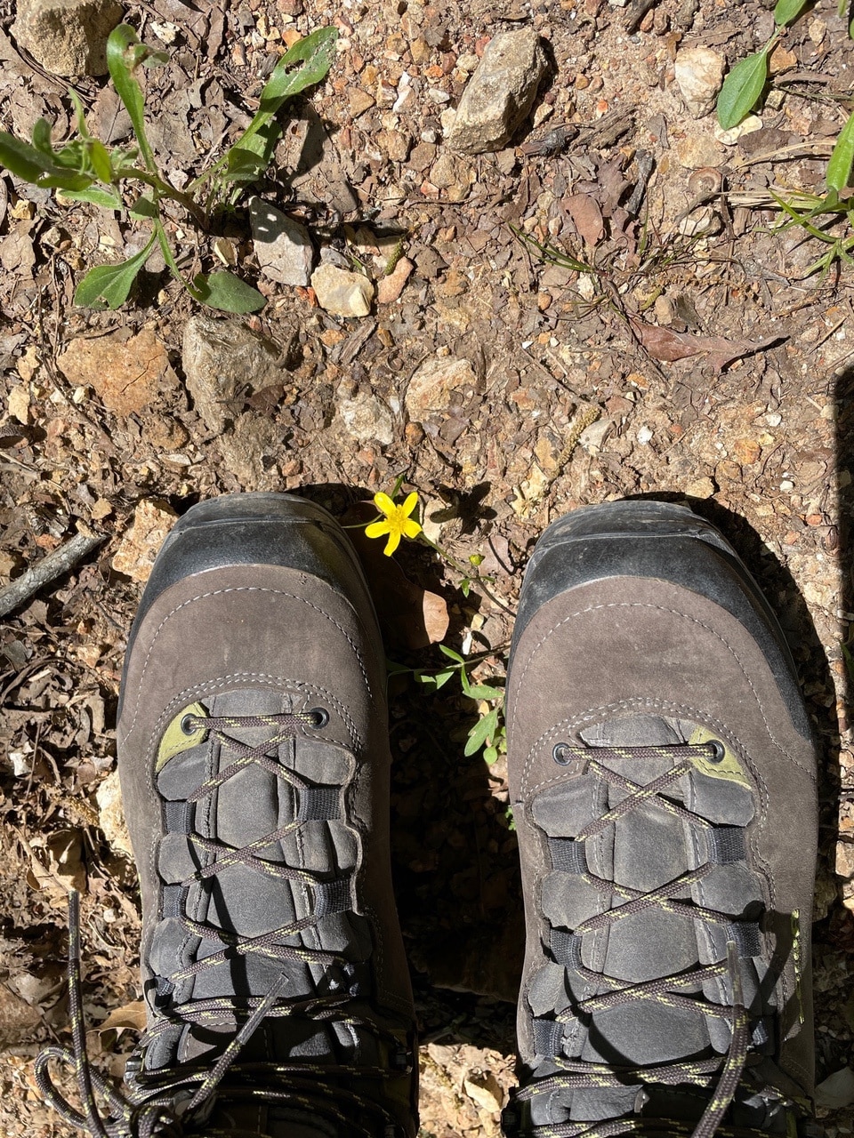 Review LOWA Lady Light GTX Hiking Boots