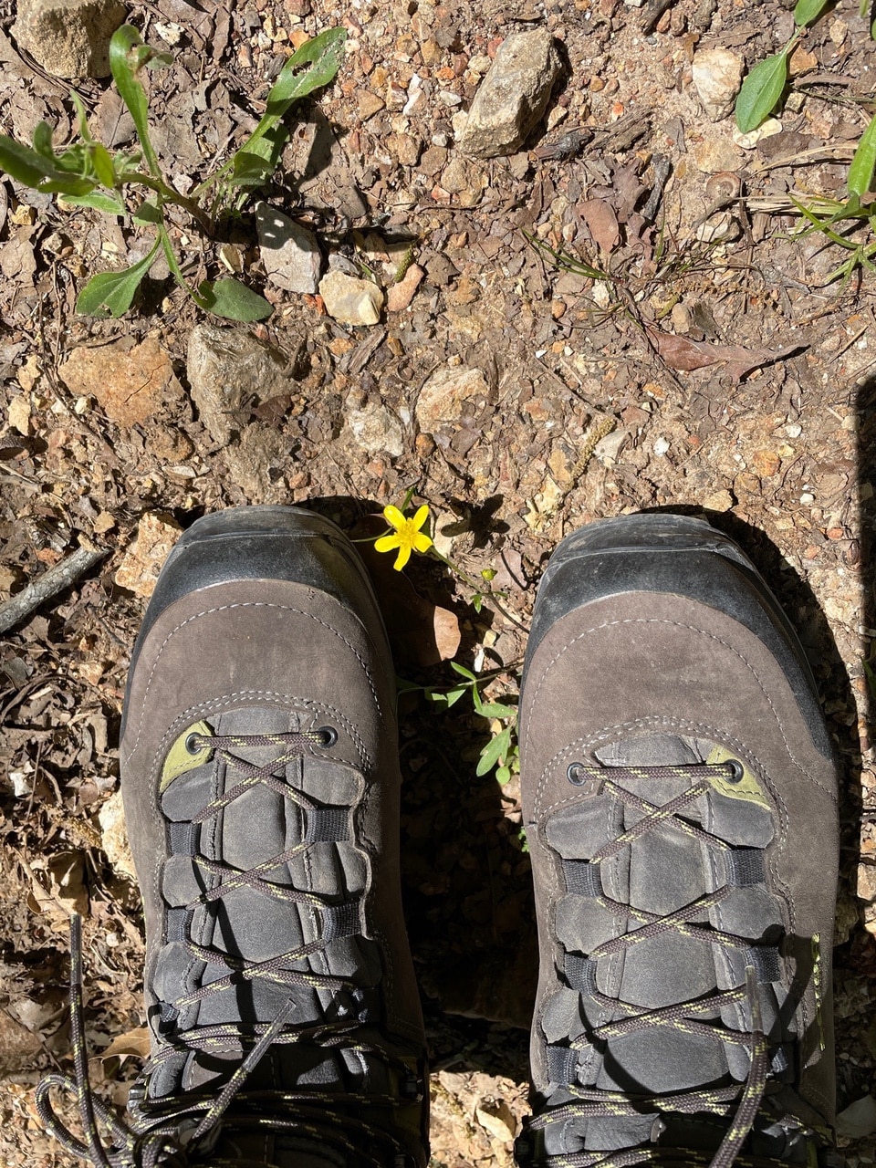 LOWA Lady Light GTX Hiking Boots with flower