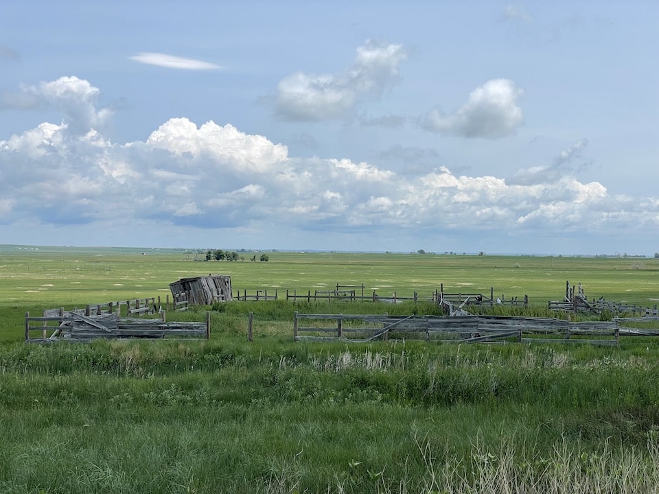 hunting farmland