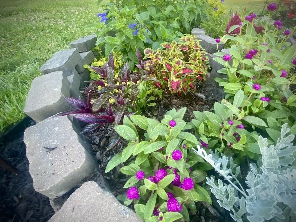 A mix of annuals, bulbs and perennial plants provide color and height.