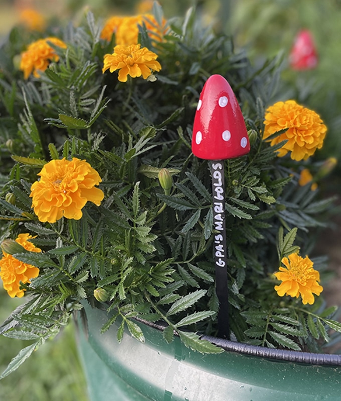 DIY Mushroom Garden Marker feature