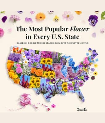 Every State’s Favorite Flower feature