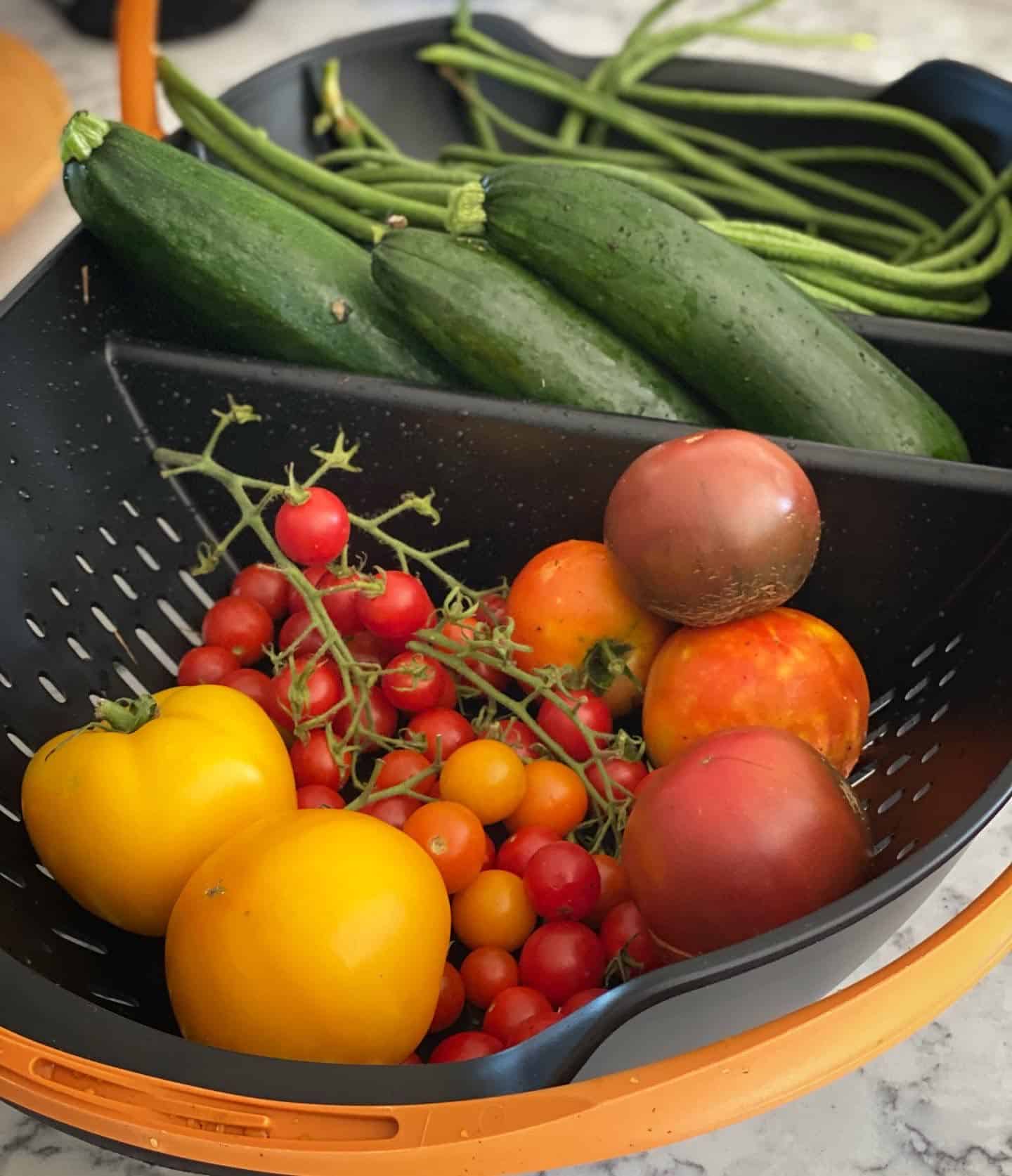 Garden harvest from our Victory Garden