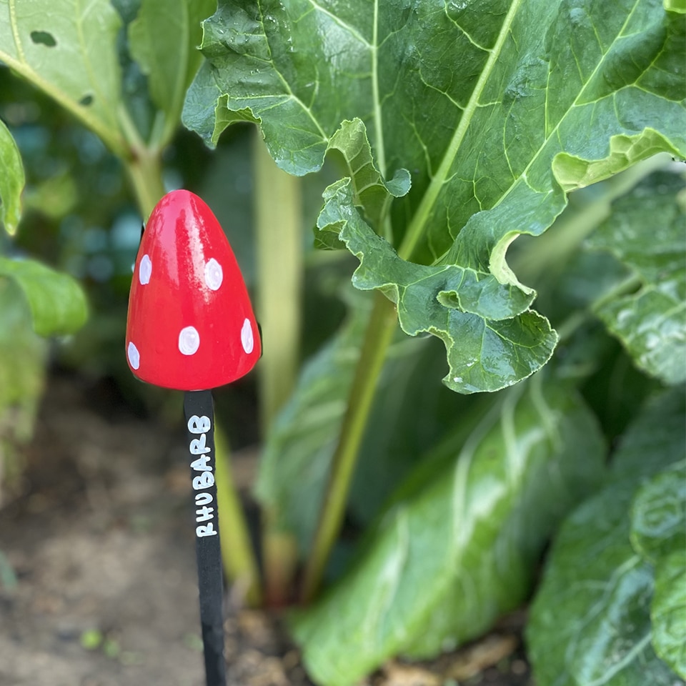 Rhubarb garden marker