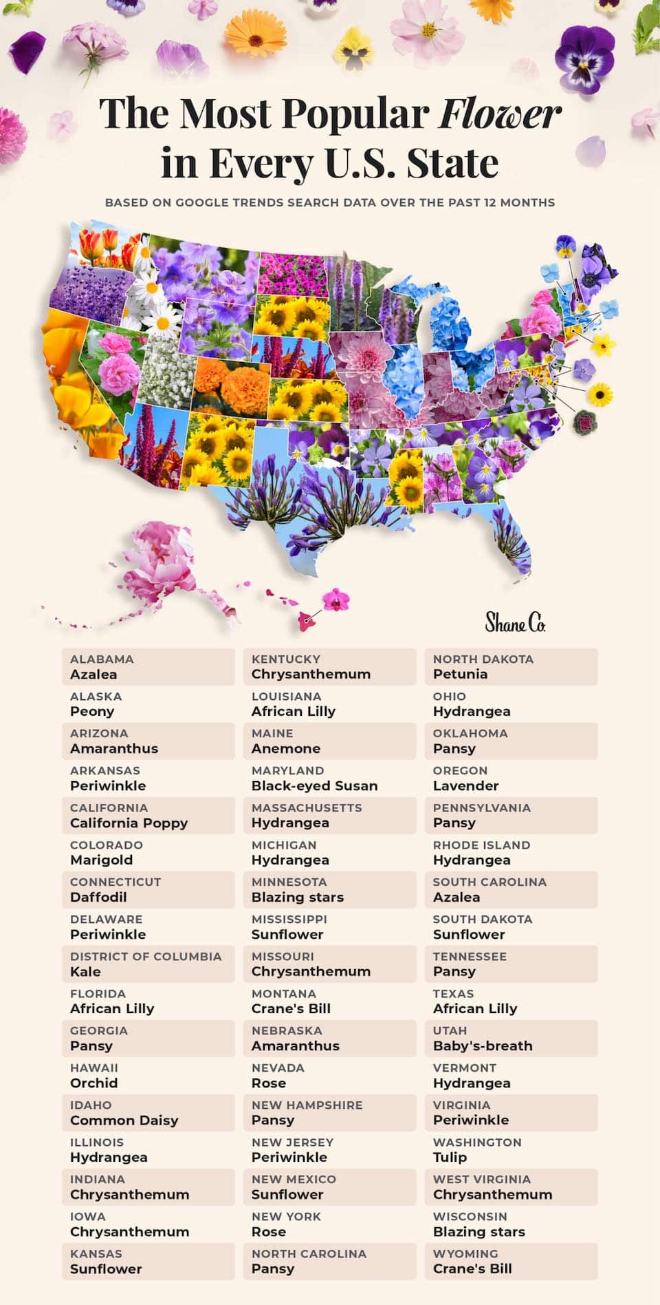 graphic-shaneco-flower-list