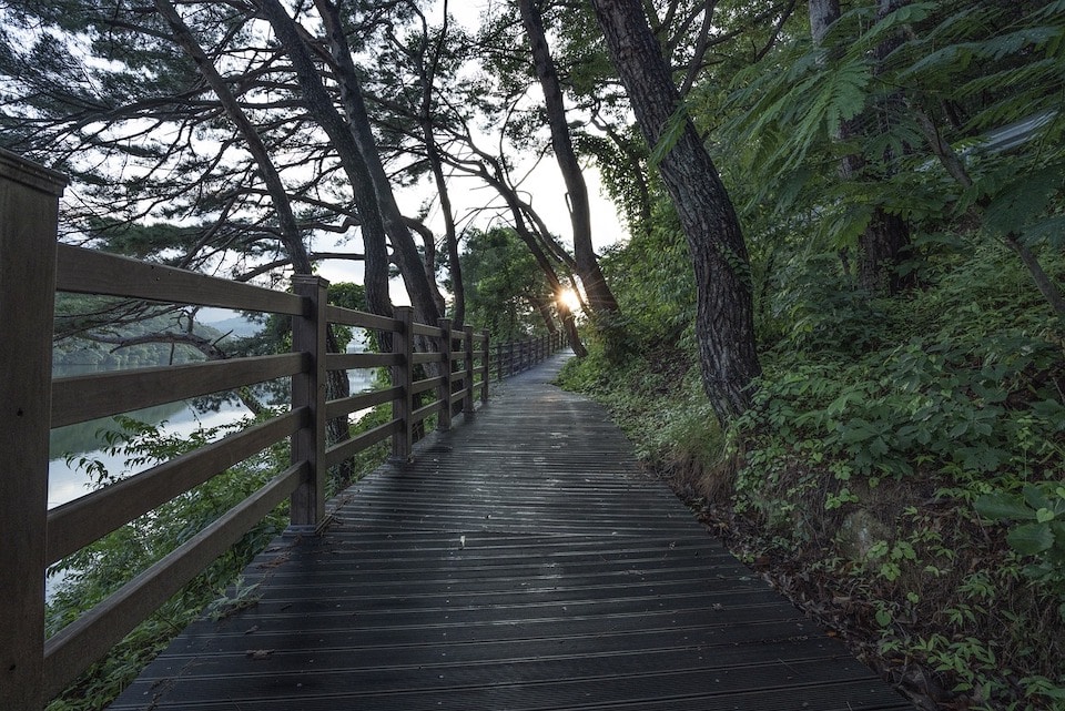 park walking trail