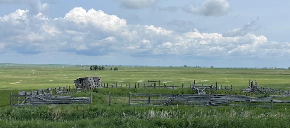 prairie dog holes on land