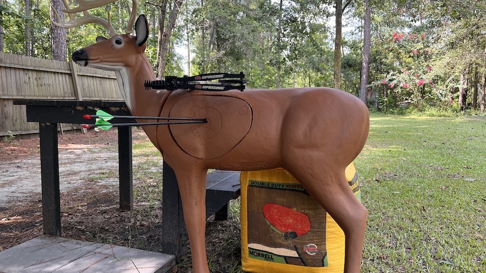Shot Results Deer Target