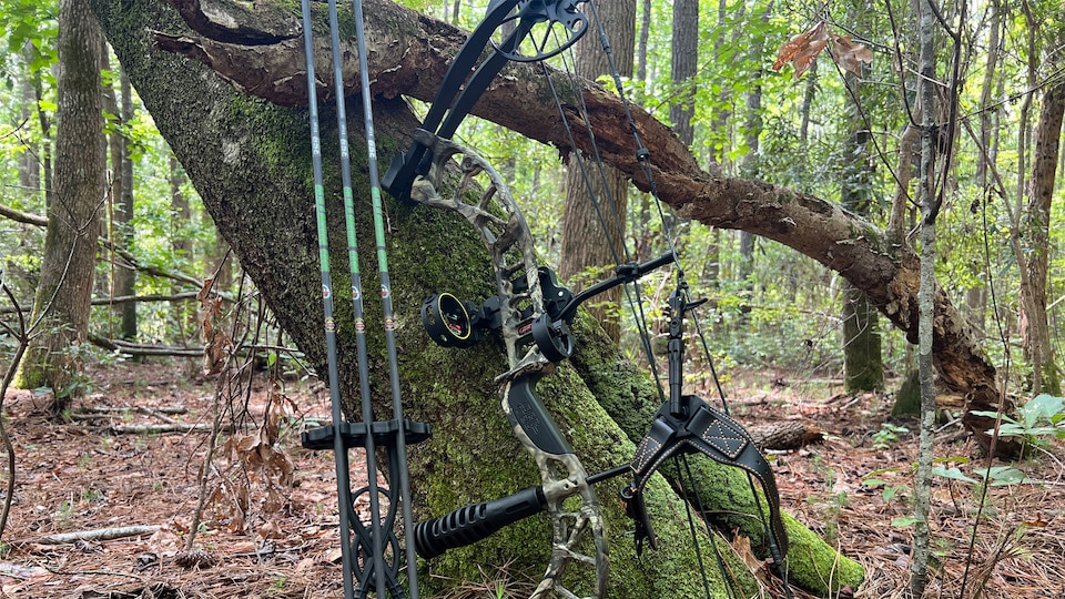 Arrows, Release and field tips not included