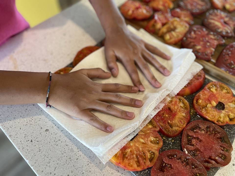 Blotting the tomatoes