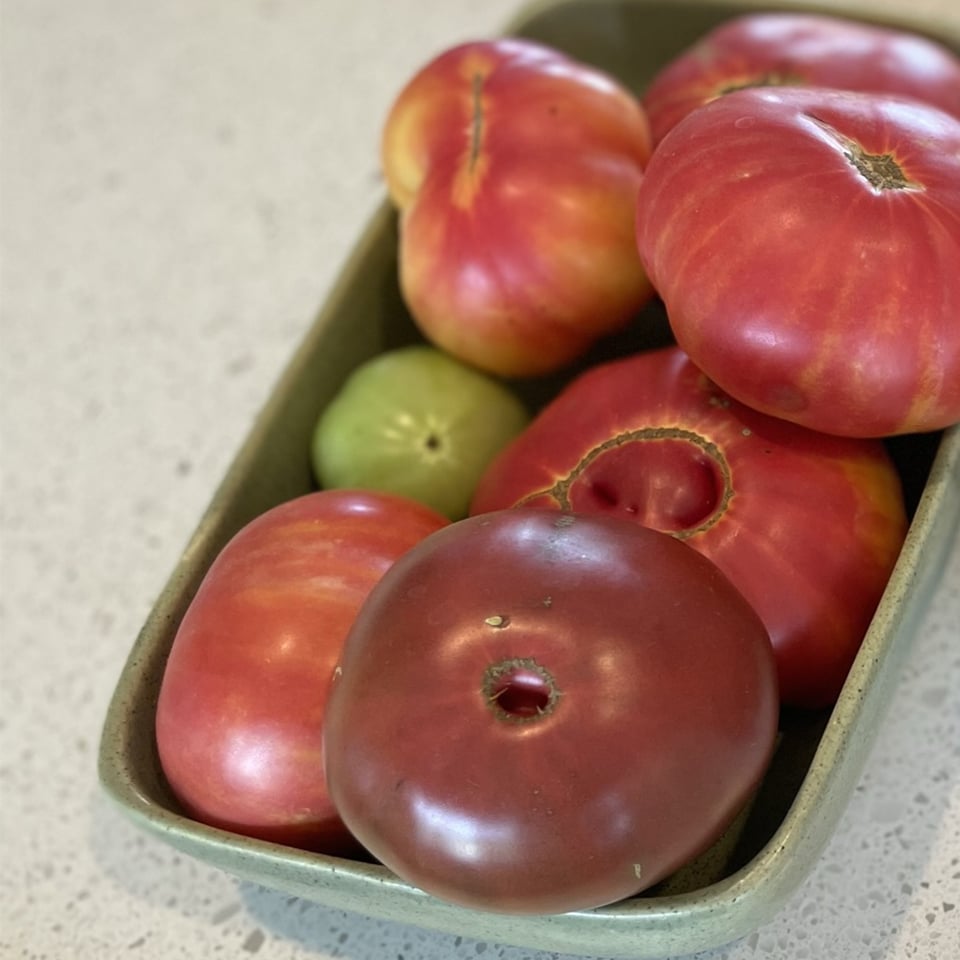 Garden Tomatoes