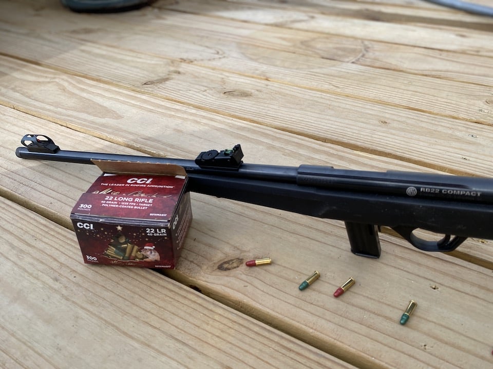 Rossi RB22 Compact with CCI Ammunition