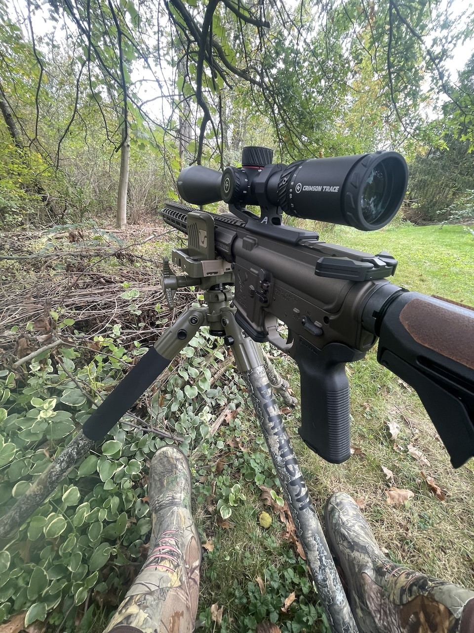 Stag Arms hunting