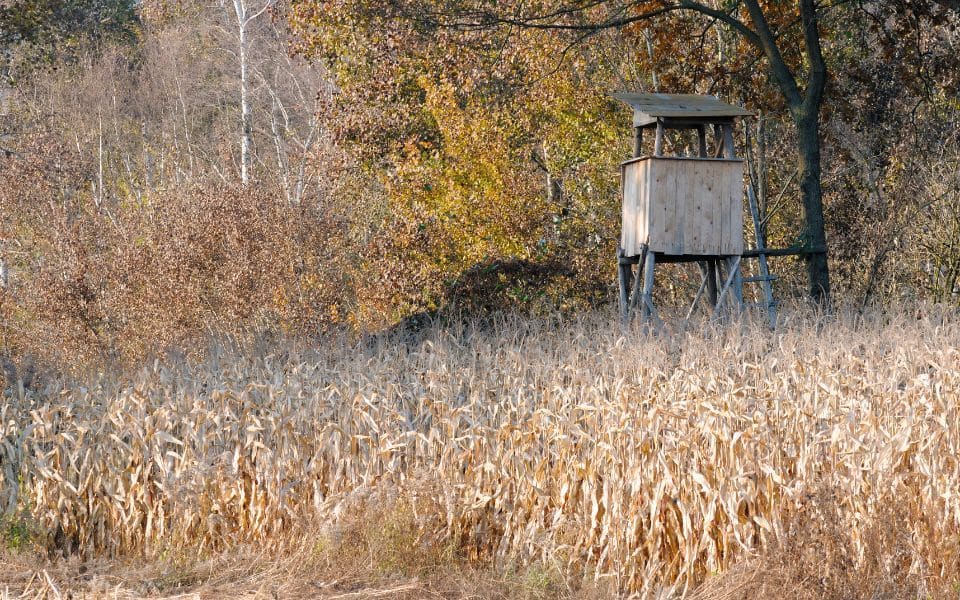 hunting stand