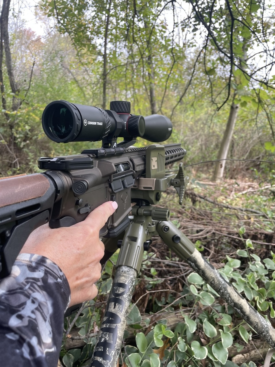 stag arms hand on gun