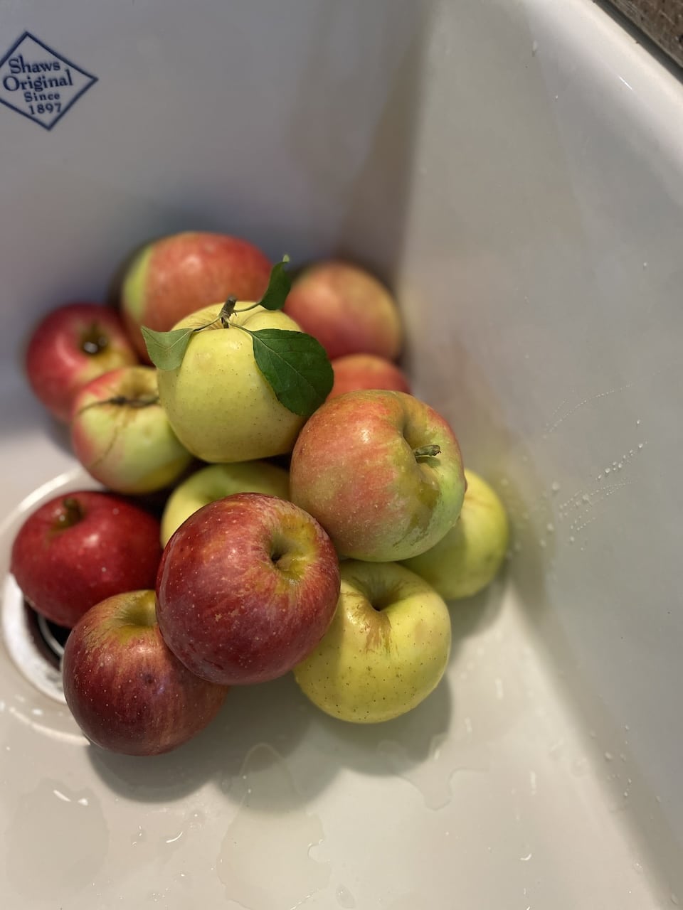 variety of apple butter apples mountain grove fruit station