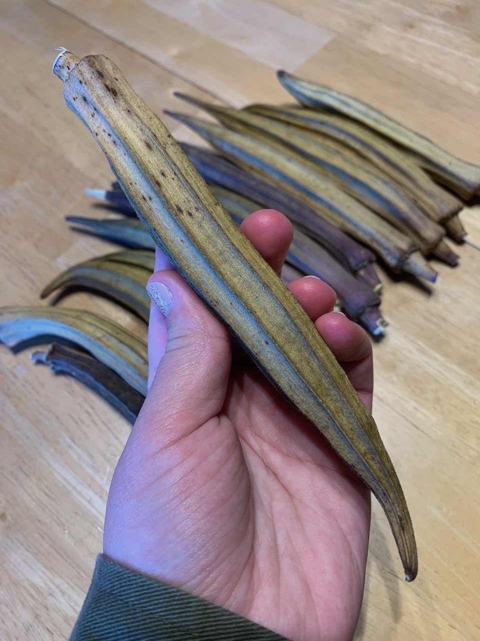 Dried Okra Pod