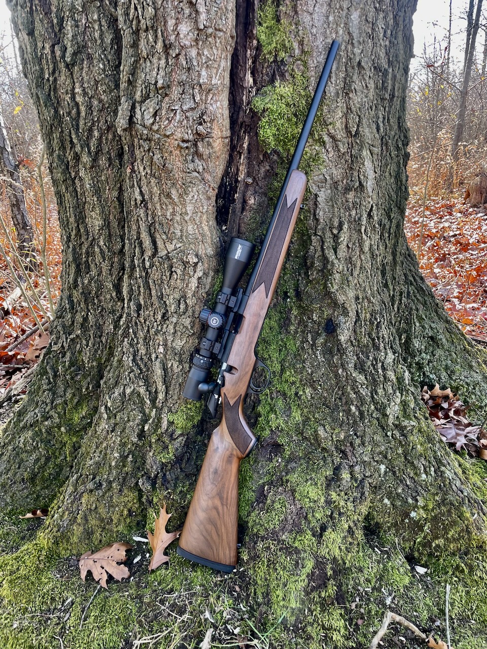 Springfield 2020 rimfire