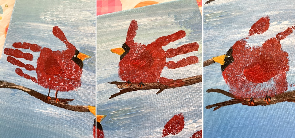 Cardinals Up Close Collage