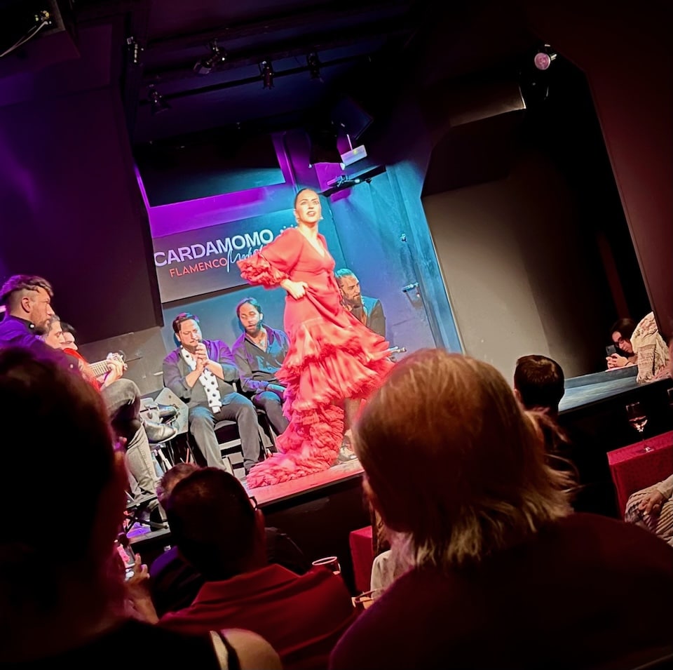 Flamingo dancers in Barcelona, Spain 4