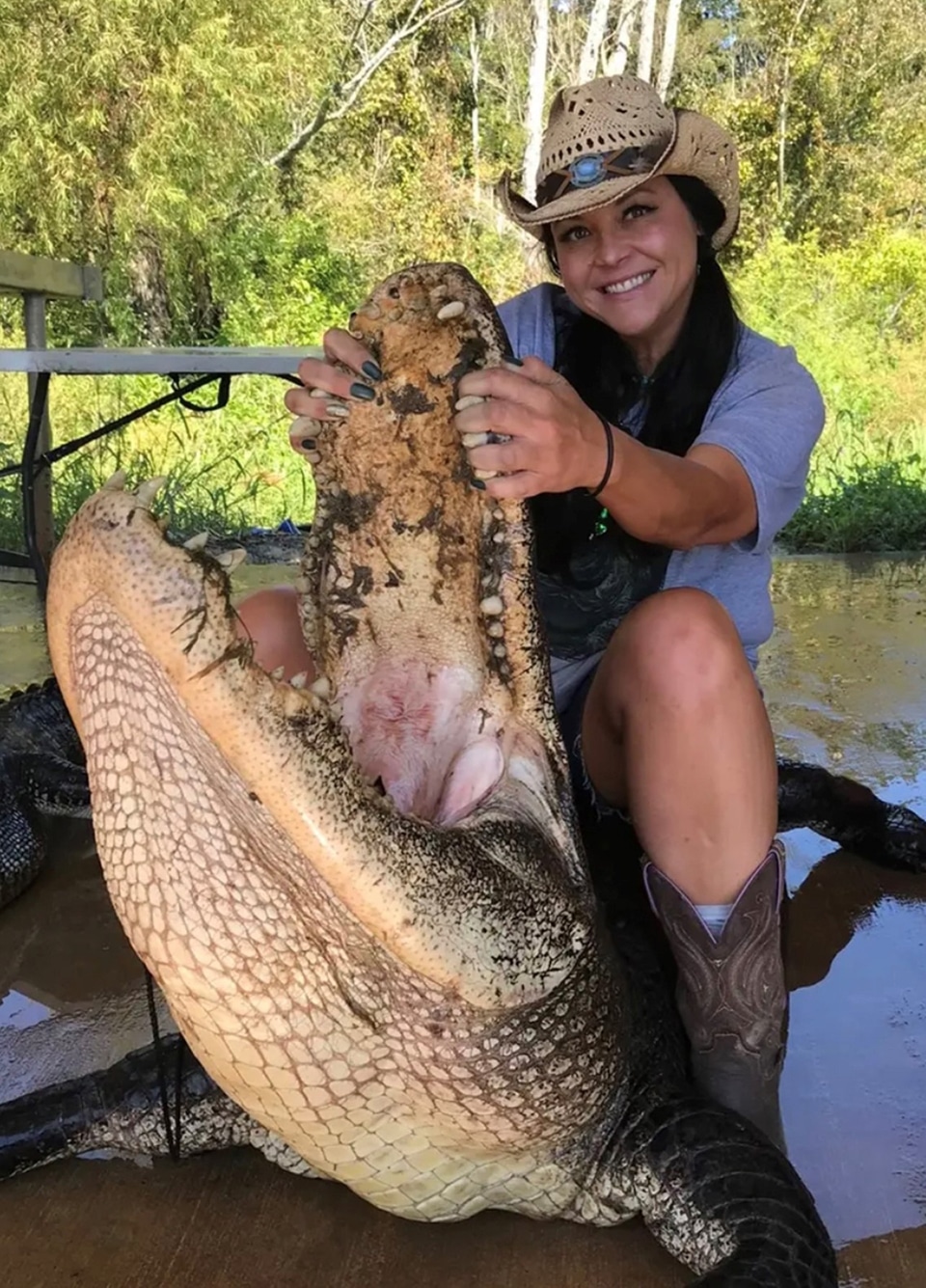Tracy Shaw alligator