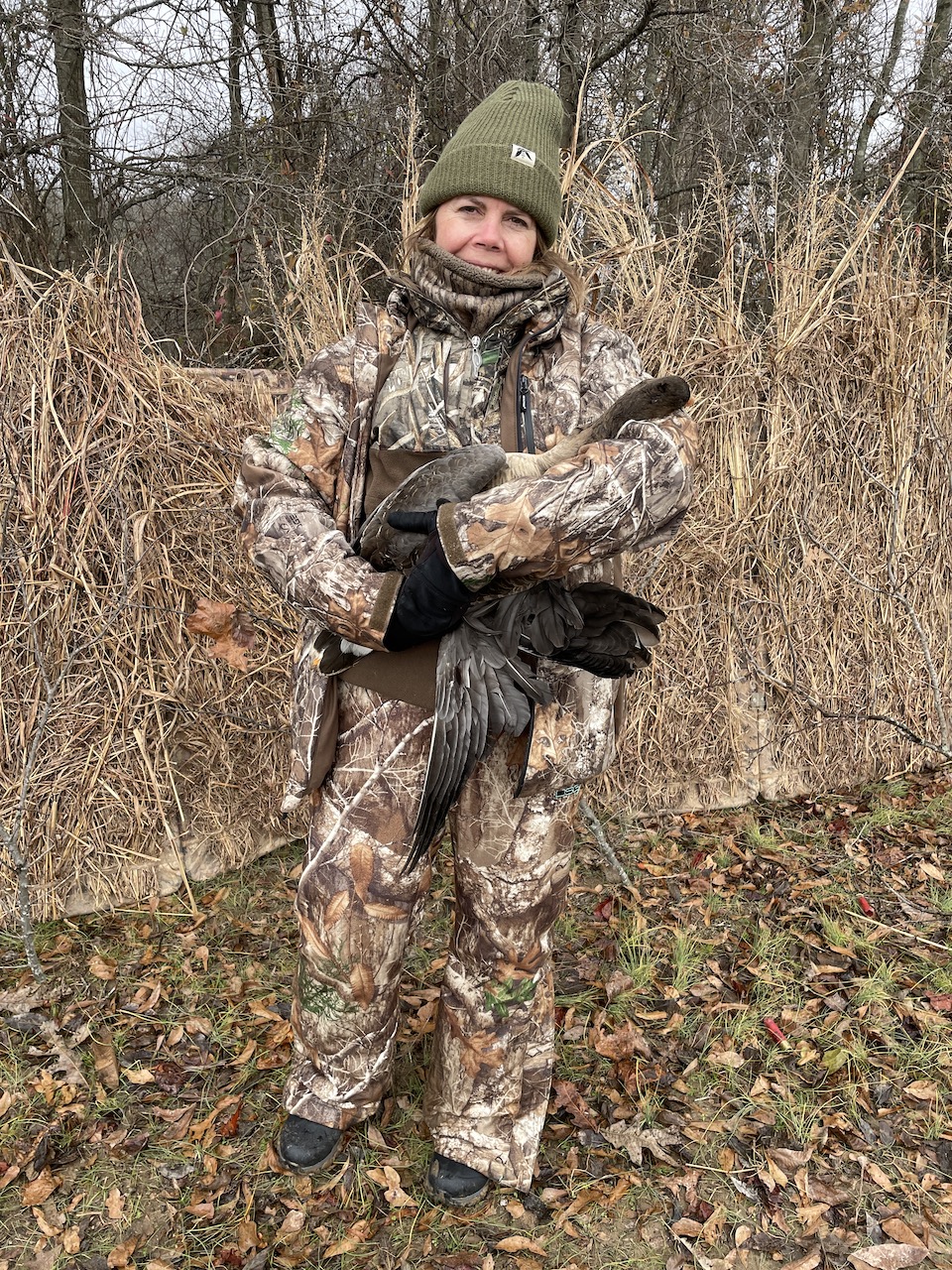 Arkansas goose