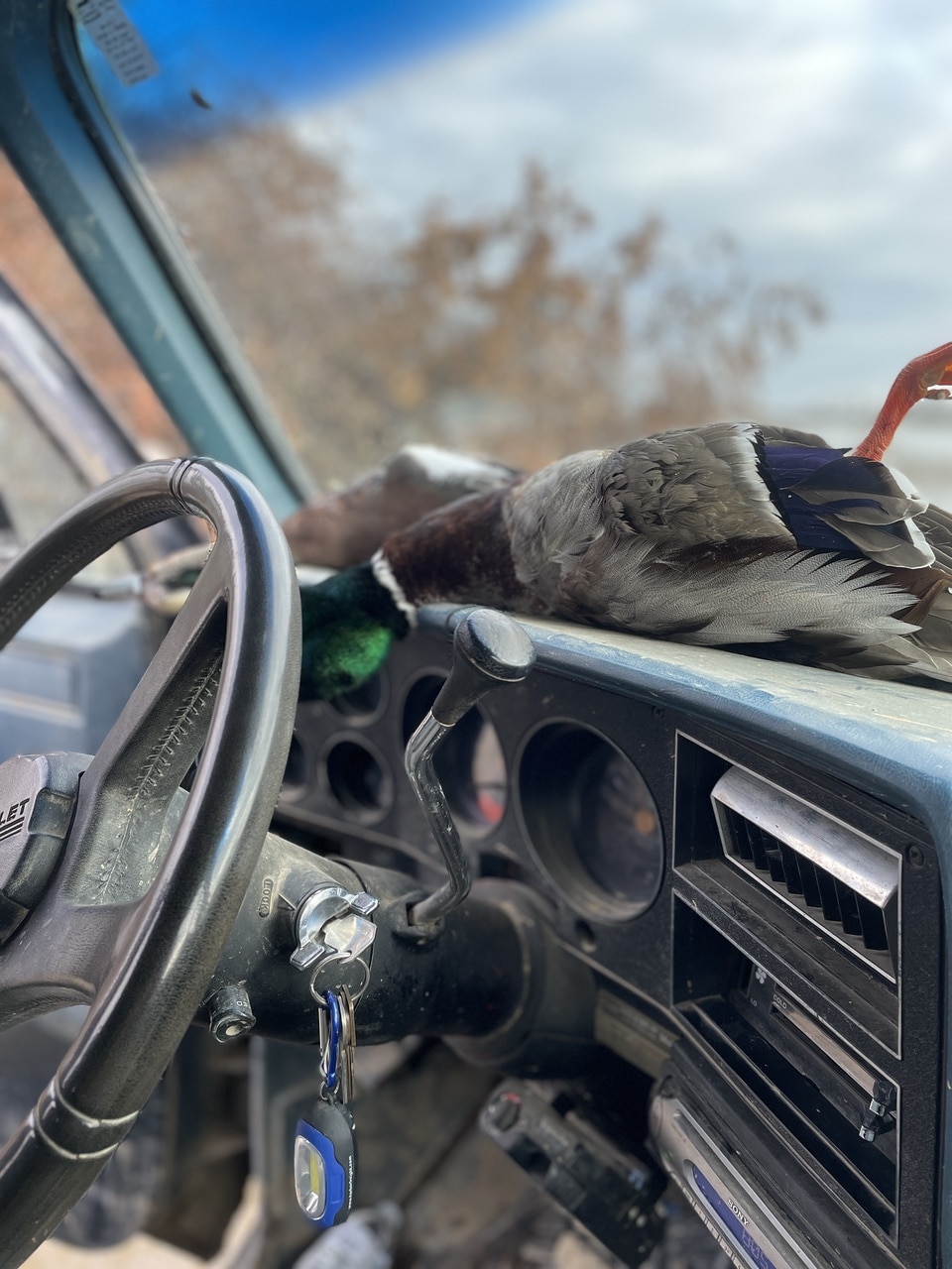 Dashboard ducks old Suburban