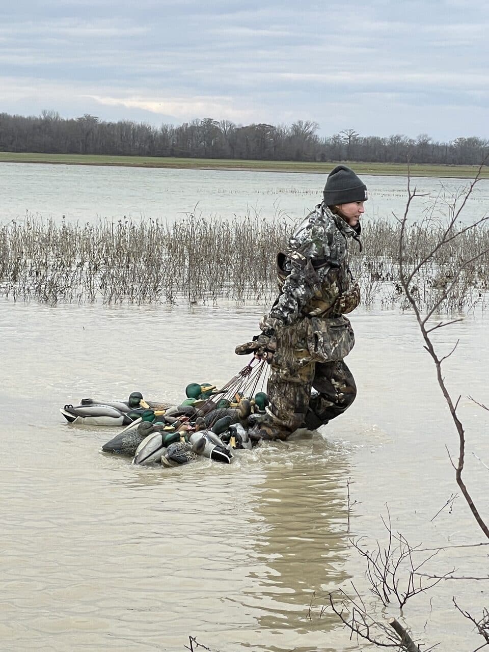 Hauling duck decoys arkansas