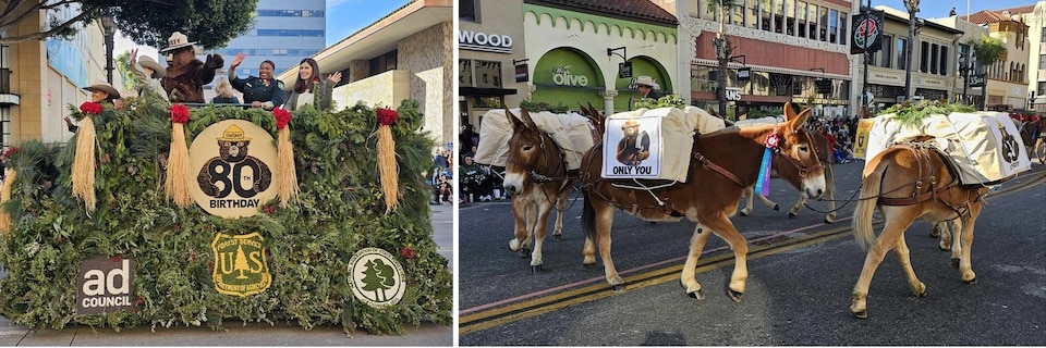 Left: Forest Service mule-drawn wagon on Colorado Blvd., Pasadena California, in the 2024 Rose Parade. Wagon riders pictured (left to right) are mule team driver, Jennifer Roeser, Lisa Beinschroth, Smokey Bear, Associate Chief Angela Coleman and Regan Hill of the Ad Council. Right: The Forest Service Pack String of mules on Colorado Blvd. in the 2024 Rose Parade. (USDA Forest Service Photos by Tom Stokesberry)