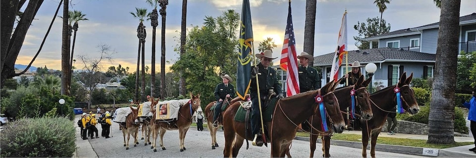 The Forest Service all-mule color guard staged on a residential street ready to join the 2024 Rose Parade. Color guard from left to right; Ken Graves, Tim Wolfbrandt, Kira Olson. (USDA Forest Service photo by Tom Stokesberry)