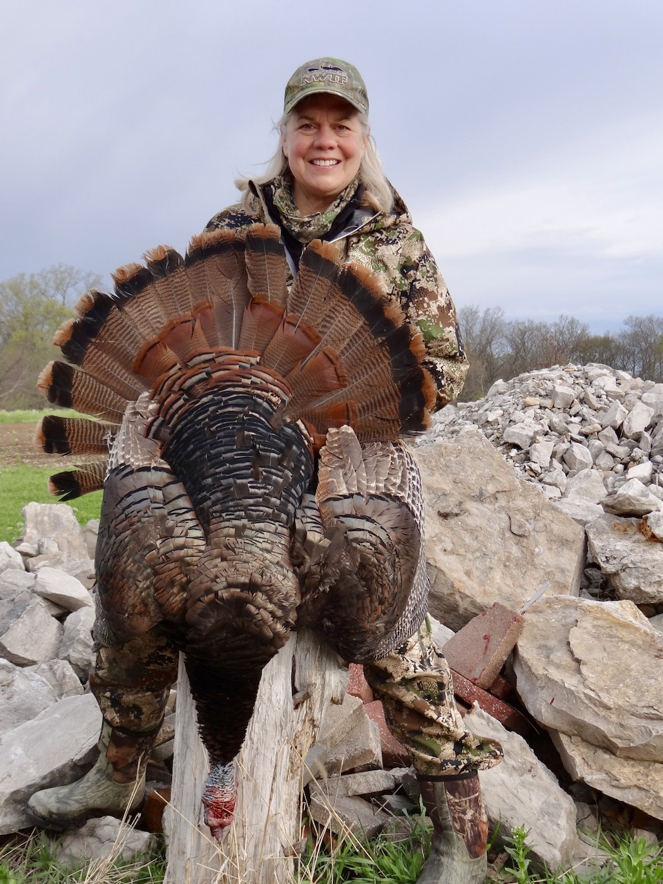 Sarah Parker Pauley turkey and rocks