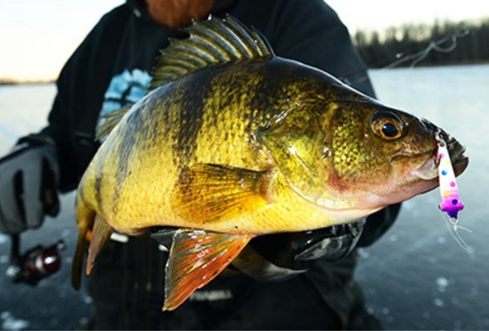 ice safety fishing