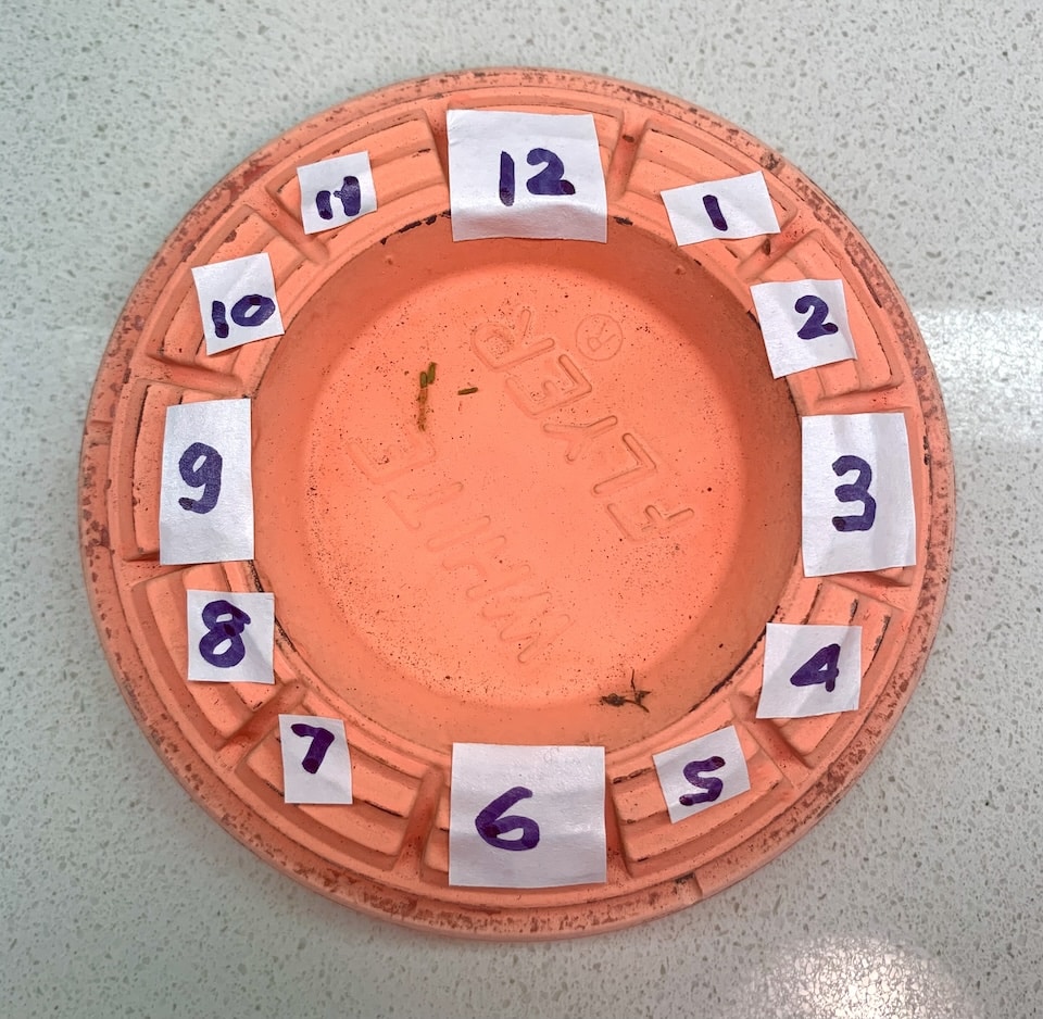 Clay target clock