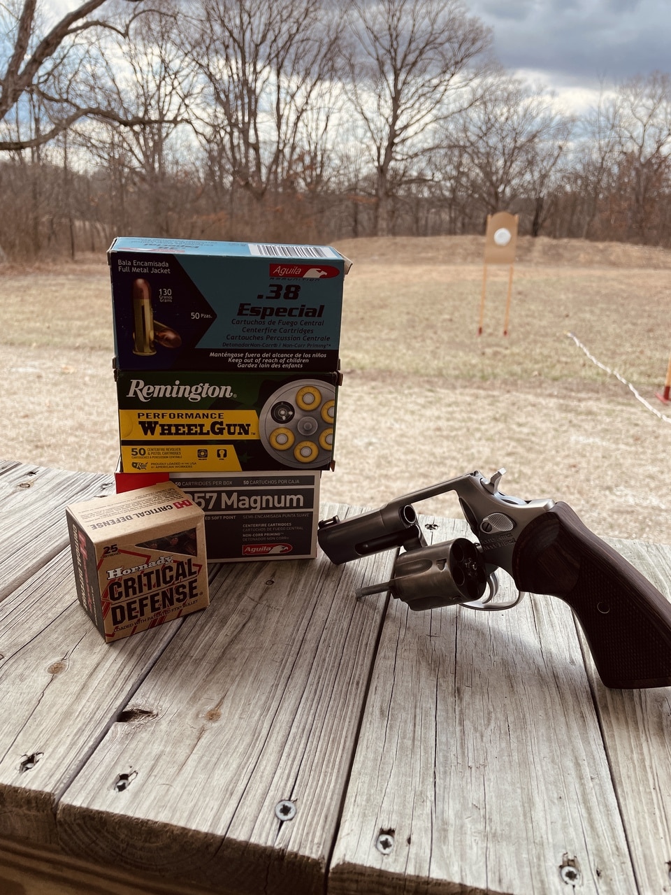 Taurus 605 Exec Grade Revolver on range