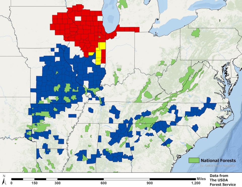 USDA Forest Service map showing cicada brood emergence April to May 2024 in the eastern United States. The areas in red show where Brood XIII, a 17-year brood, is expected to emerge. The areas in blue show where Brood XIX, a 13-year brood, is expected to emerge. The area in yellow shows where these brood emergences are expected to overlap in Illinois. (USDA Forest Service graphic).