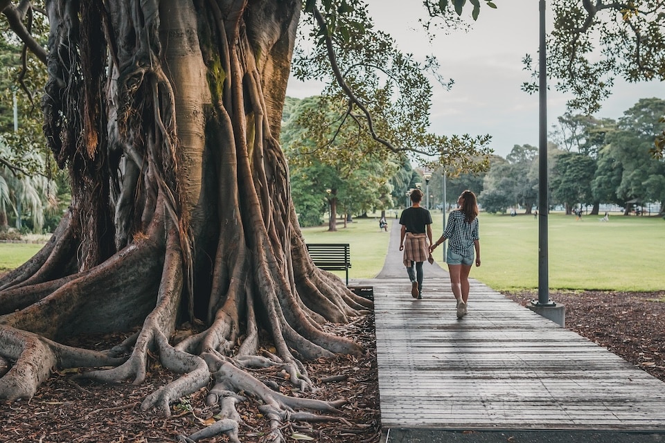 couple walking in park