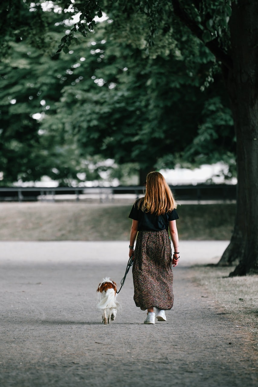 woman walking dog Predators select victims