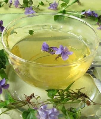Wild Violet Tea Recipe feature