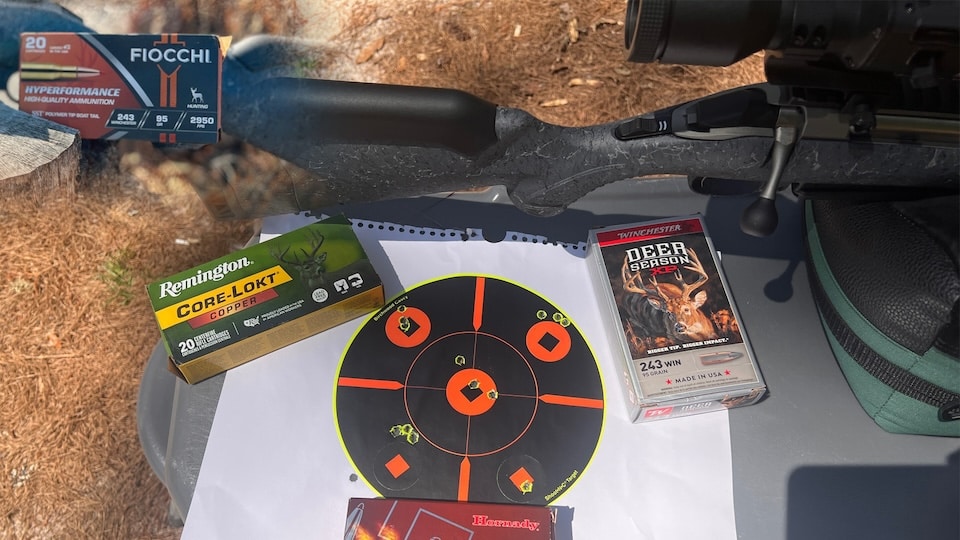 Ruger Am Gen 2 Ammo Test